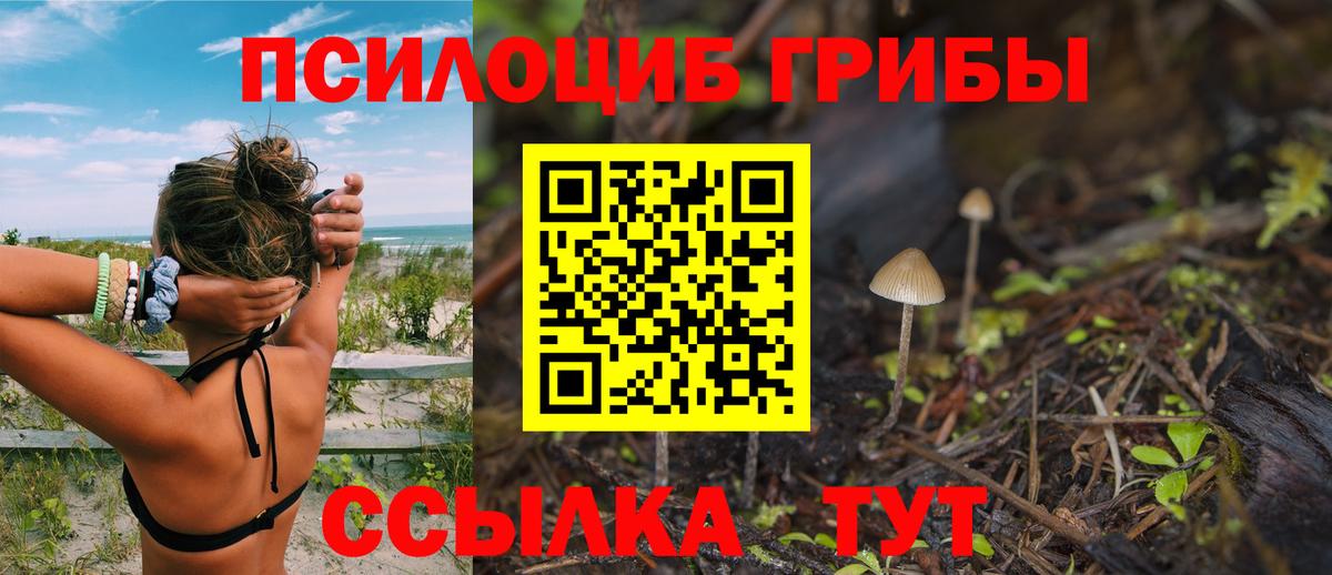 Бердск  Галлюциногенные грибы MAGIC MUSHROOMS  Вход с VPN  Псилоцибиновые грибы ЛСД 