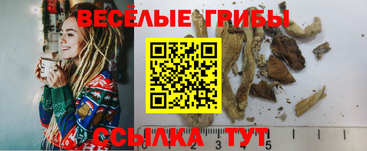 Галлюциногенные грибы мухоморы Бердск